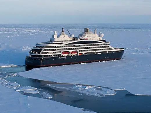 The Emperor Penguins Of Weddell Sea Ponant 